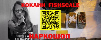 a pvp Новозыбков