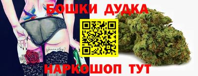 a pvp Новозыбков