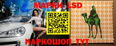 a pvp Новозыбков