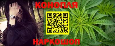 a pvp Новозыбков