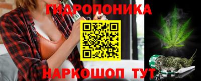 a pvp Новозыбков