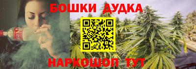 таблы Новодвинск