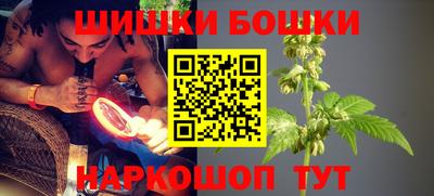 a pvp Новозыбков