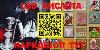 a pvp Новозыбков
