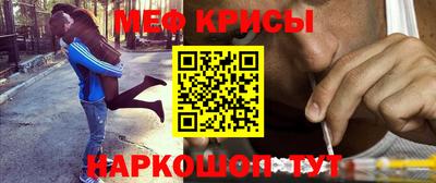 a pvp Новозыбков